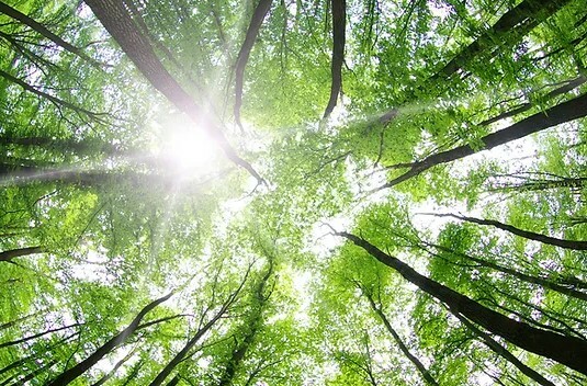 Spring rituals | Good Spa Guide